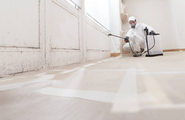 24/7 Emergency Attic Mold Remediation experts in Windsor, IL