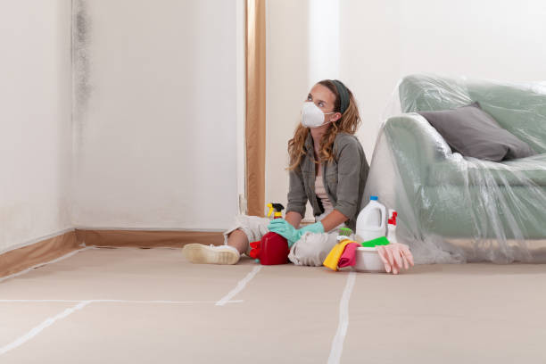 Reliable Attic Mold Remediation contractor in Windsor, IL by 24 Hour Mold Removal